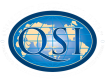 QSI logo